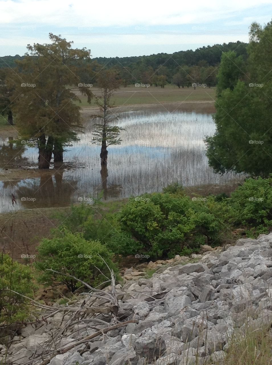 Lake Scenery 