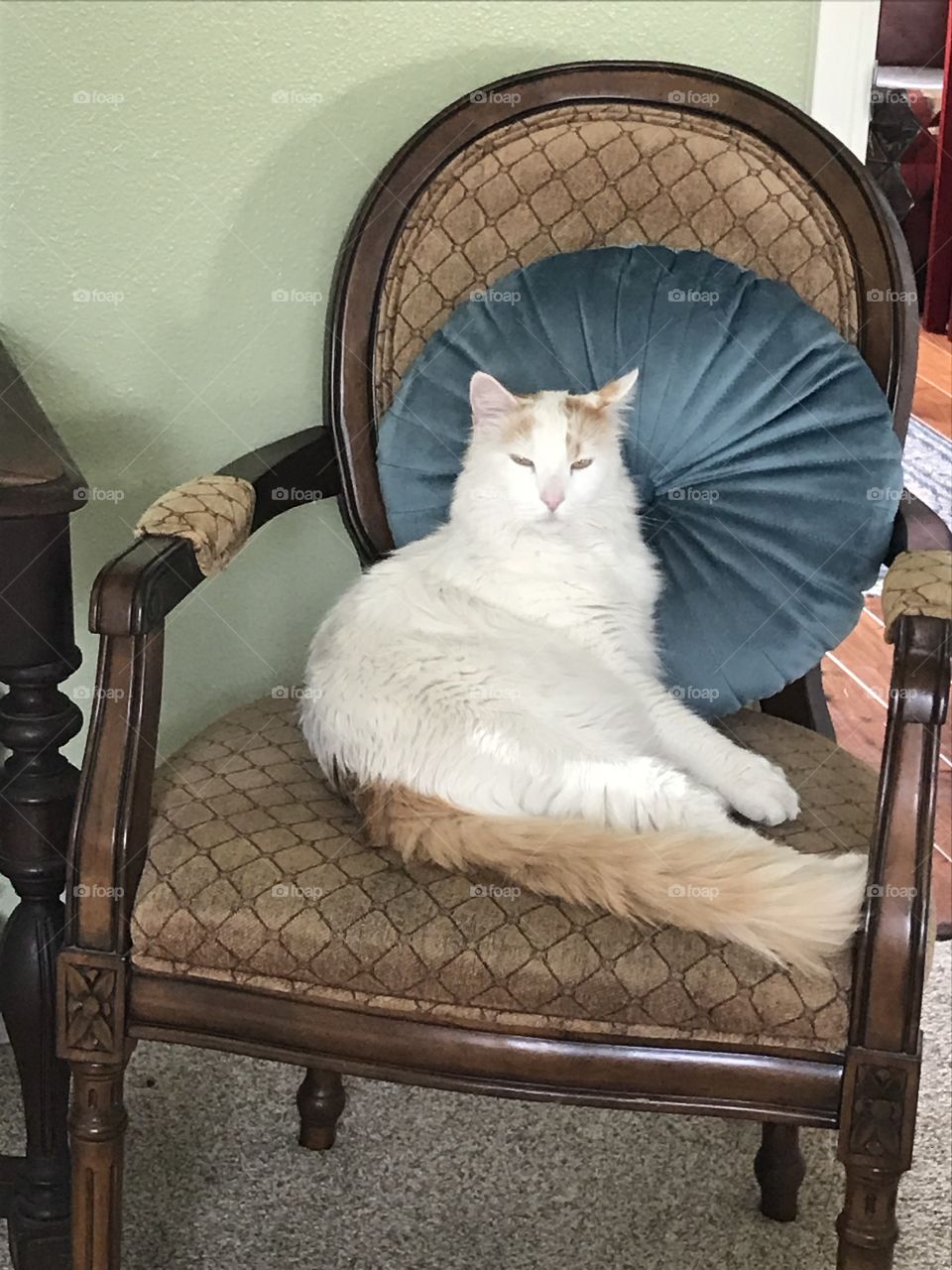 The king on his throne 
