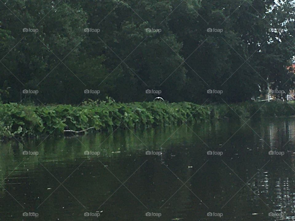 flying above the waterfront Rotterdam the netherlands
