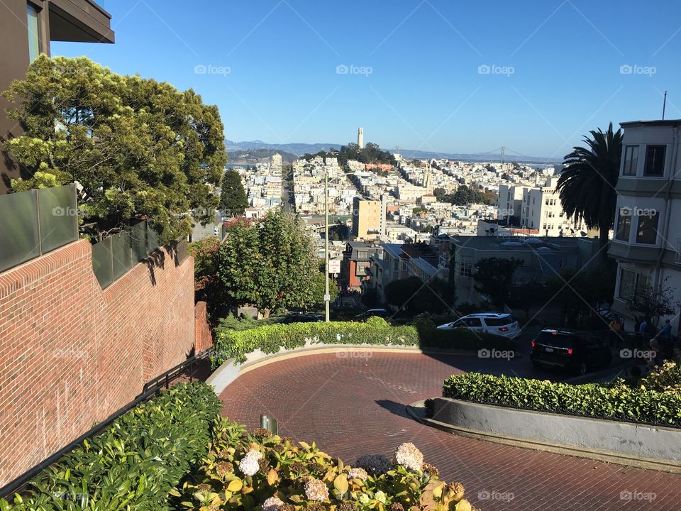 At the top of Lombard Street in San Francisco 