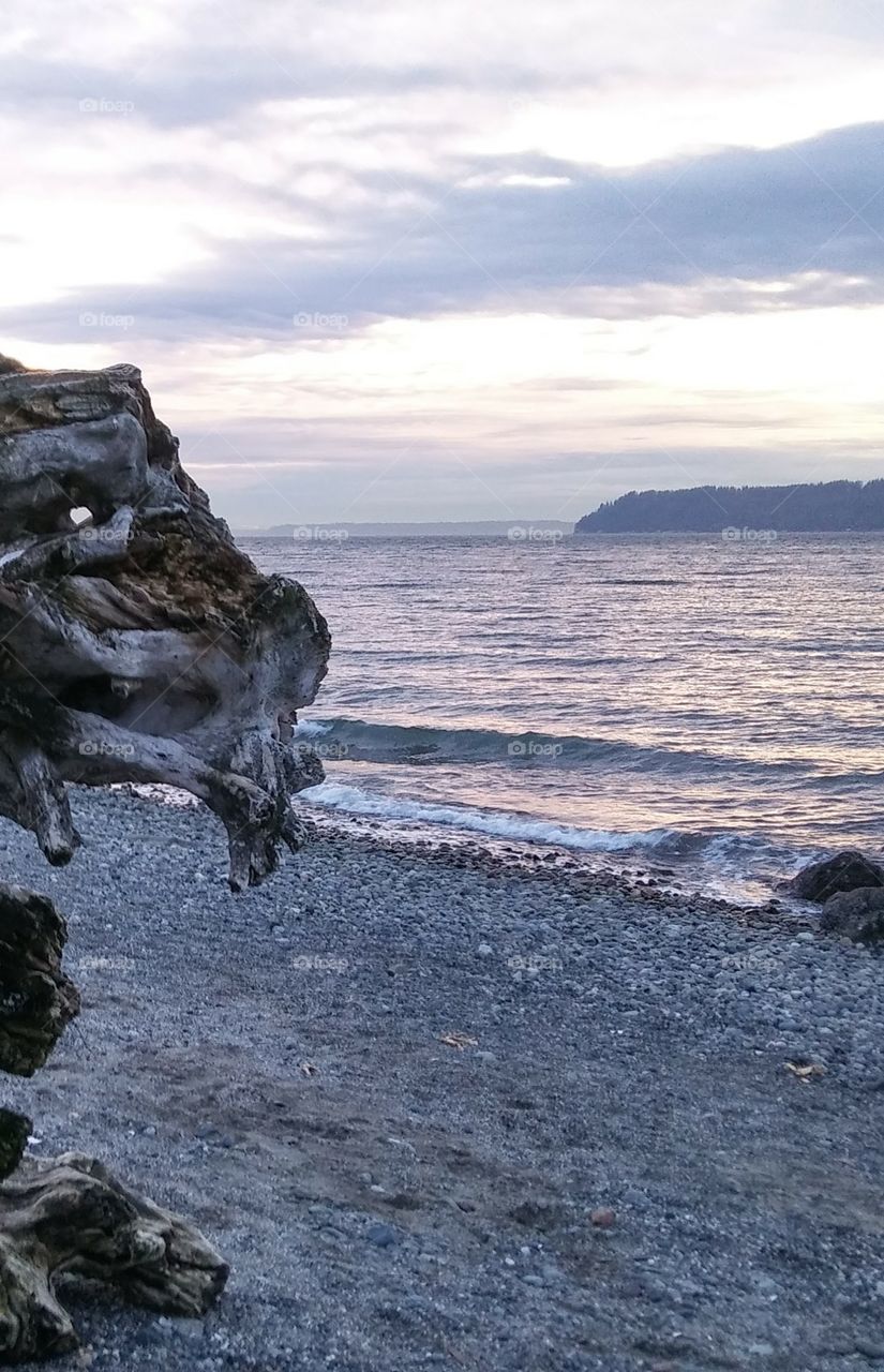 Beach Everett Washington
