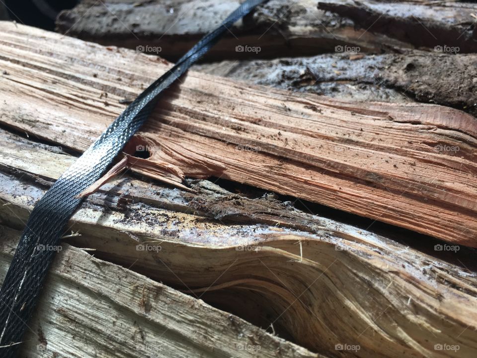 Wood, Nature, No Person, Tree, Outdoors