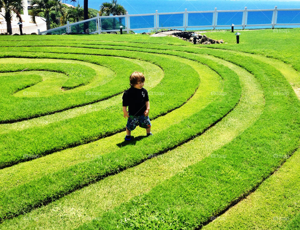 Lawn Maze
