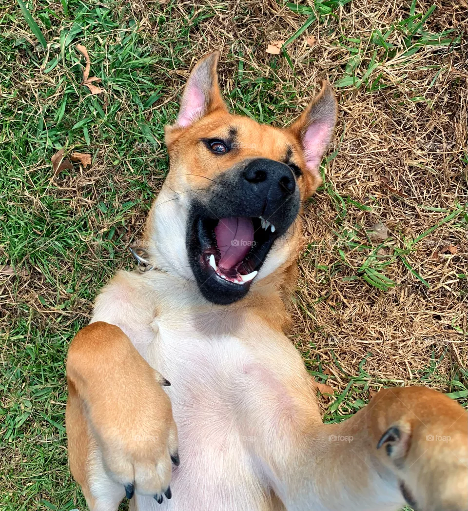 Smile!