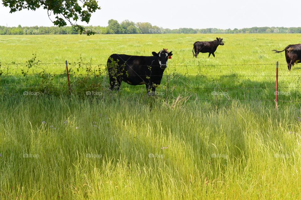Aerial view of Manhattan, New York