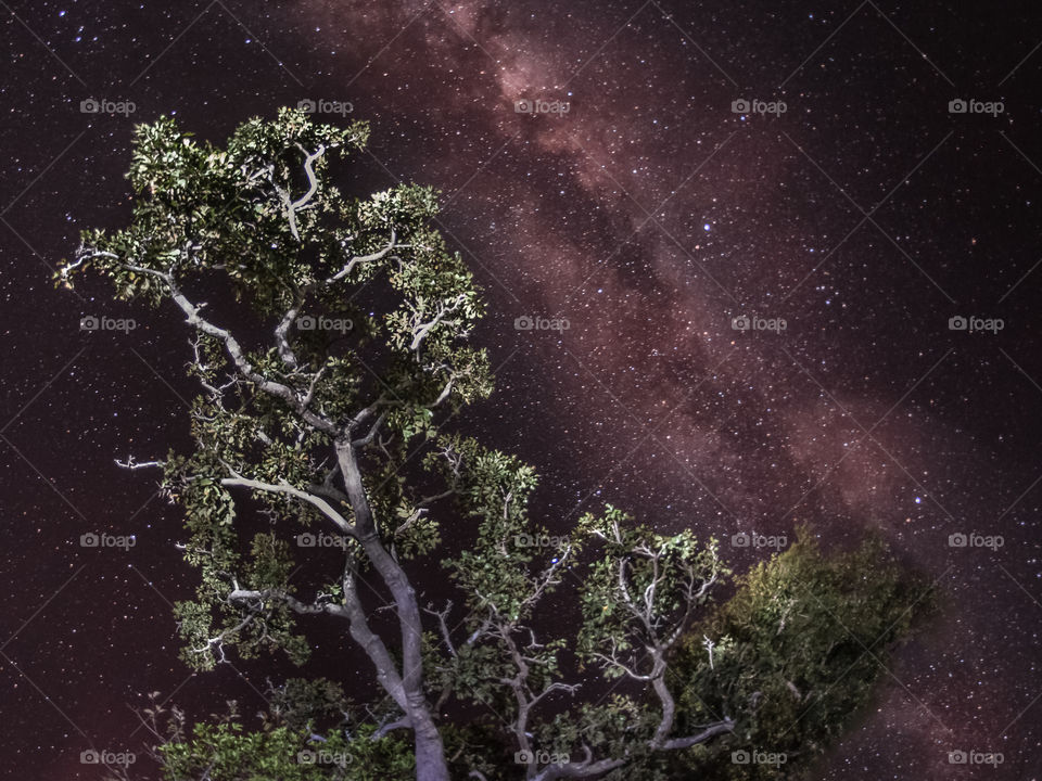 Milkway in Brazil 