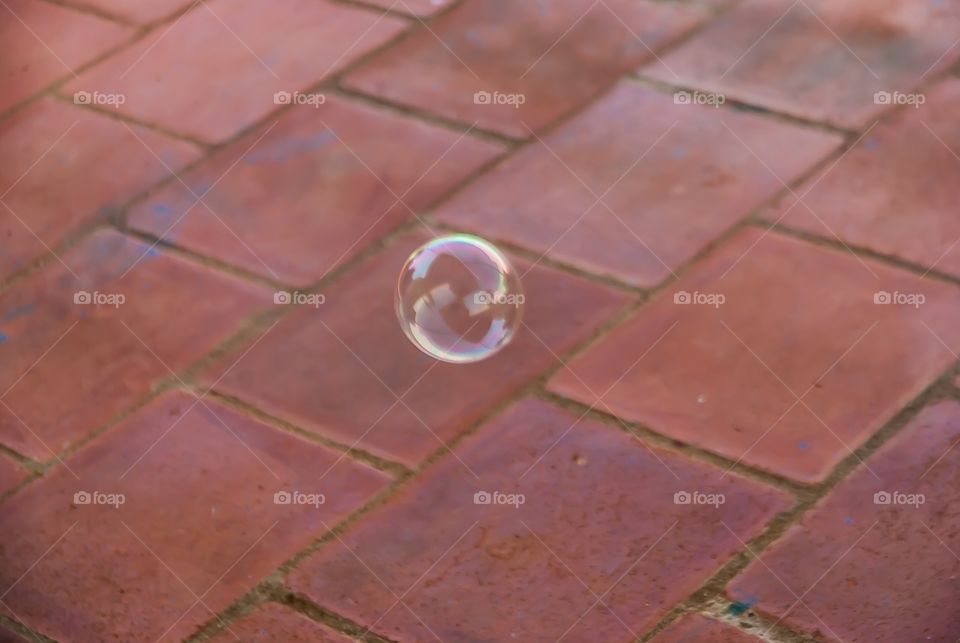 bubbles 