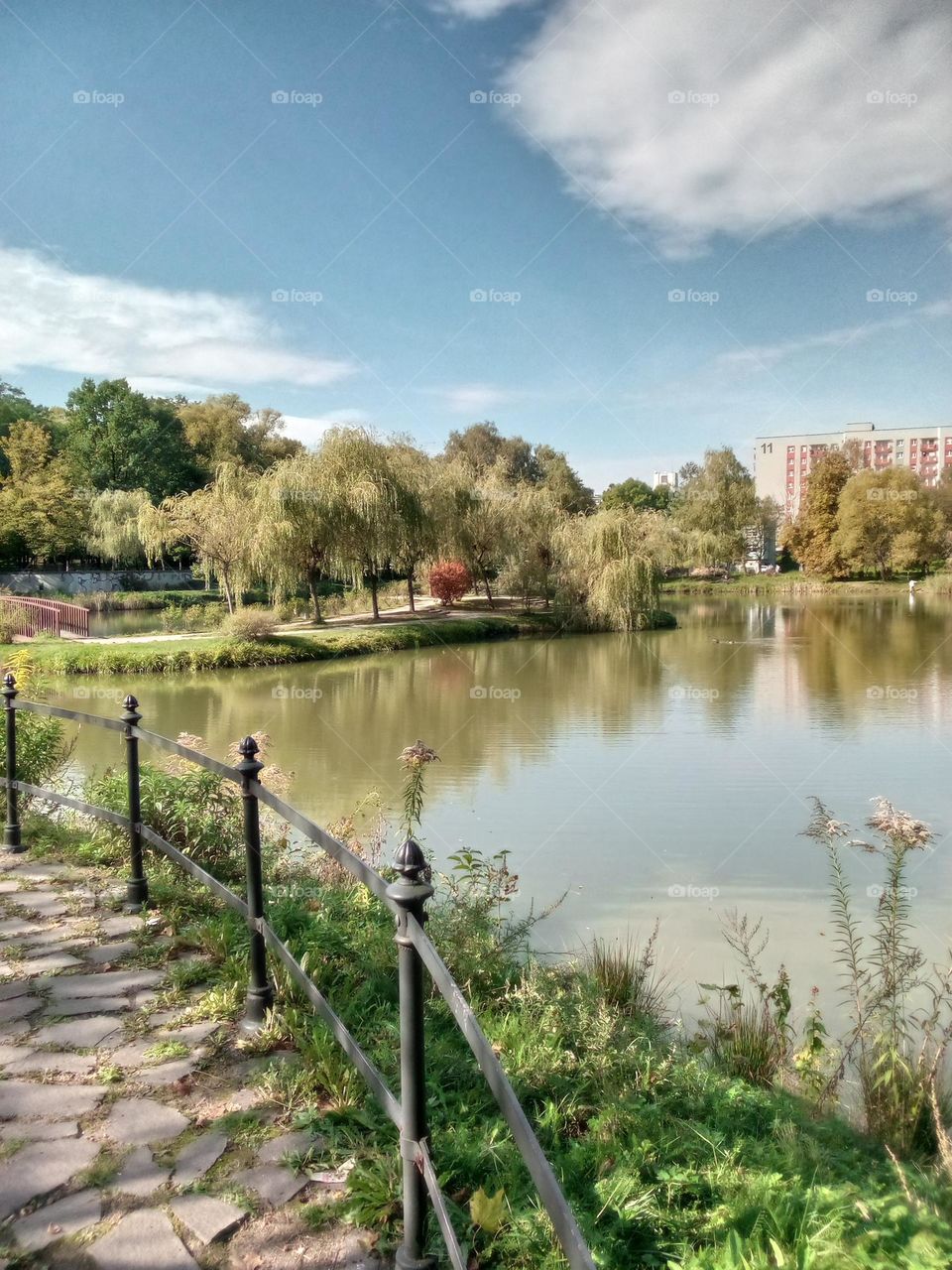 landscape of nature. park