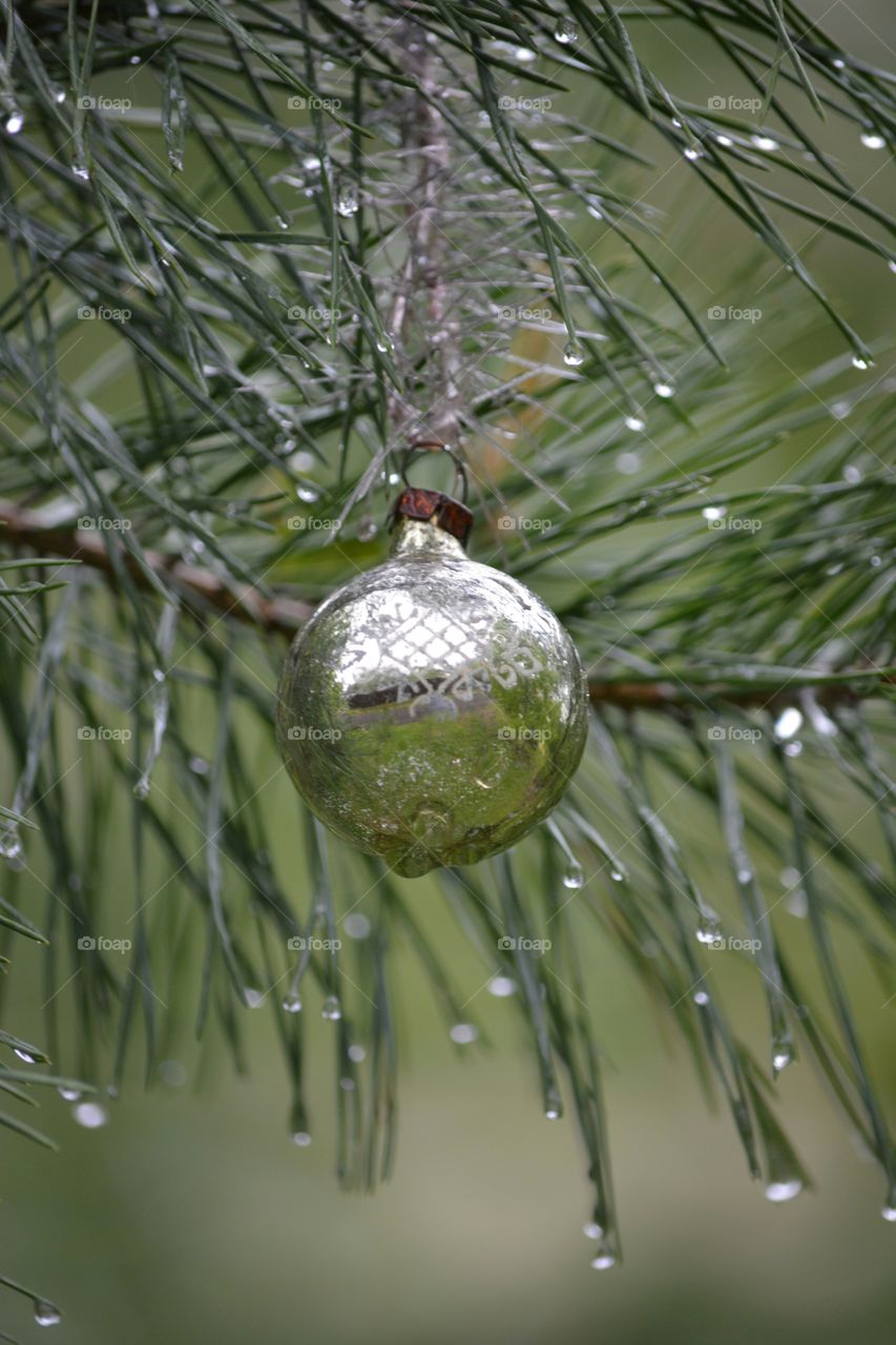 Christmas, Winter, Tree, Sphere, No Person