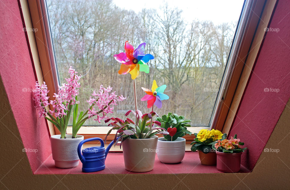 potted plants with blossoms and pinwheels in front of a roof-top window