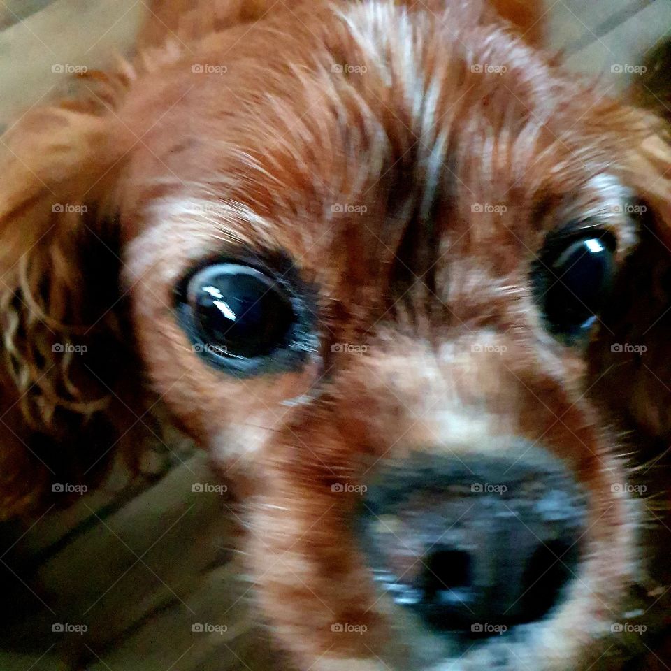 Just say hallo to the camera.