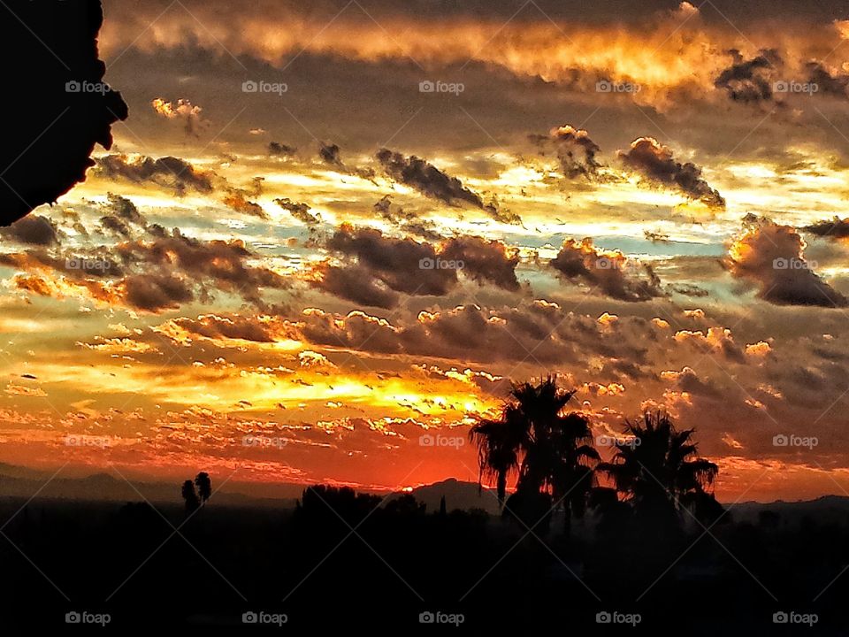 Scenic view of sunrise