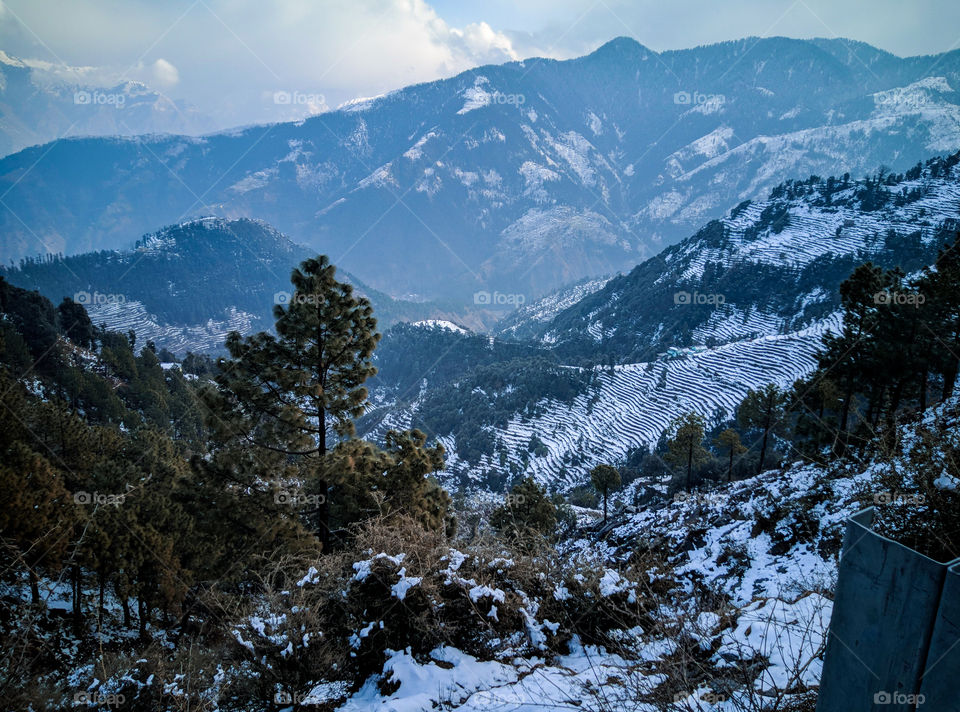 snow makes them so beautiful ❤️