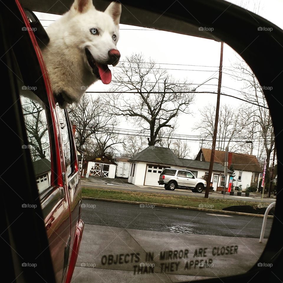 No Person, Street, City, Outdoors, Car