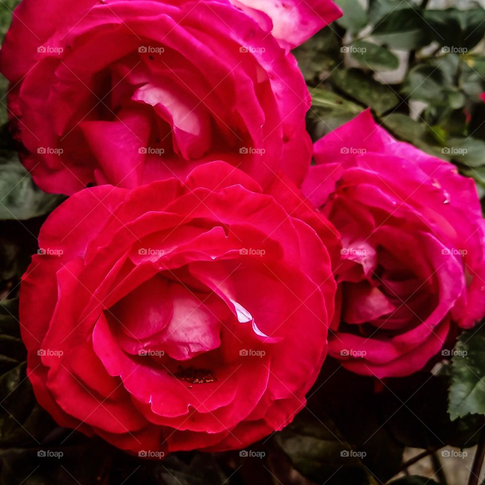 Small moments  of hapiness