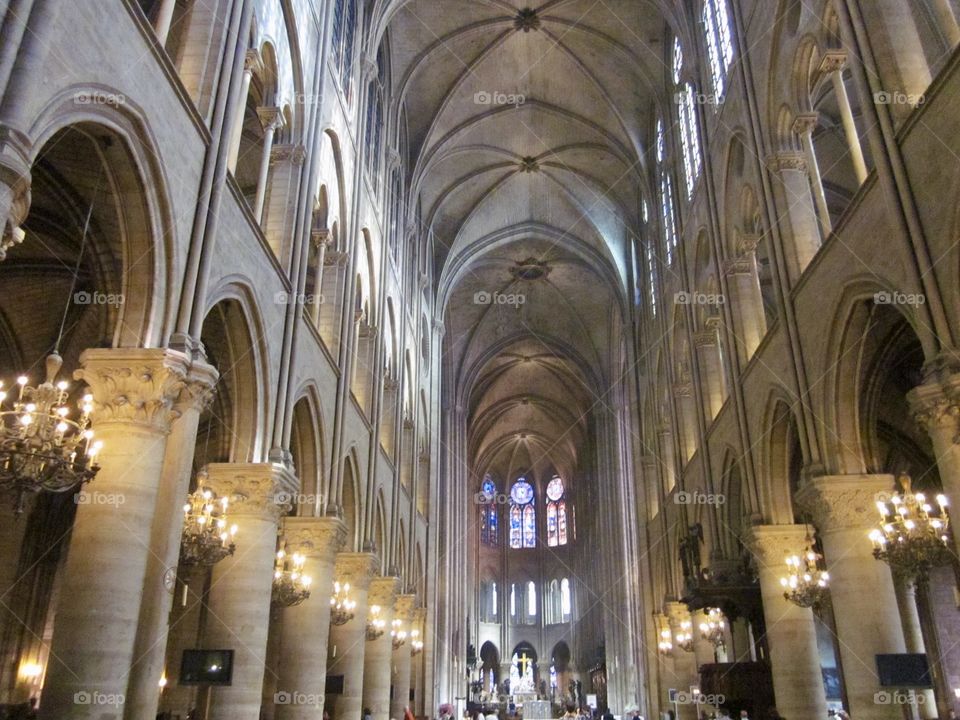 Notre Dame Cathedral in Paris France. Such a beautiful and peaceful place.