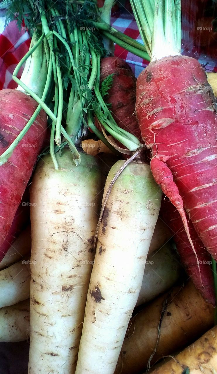 Colorful long radish in market