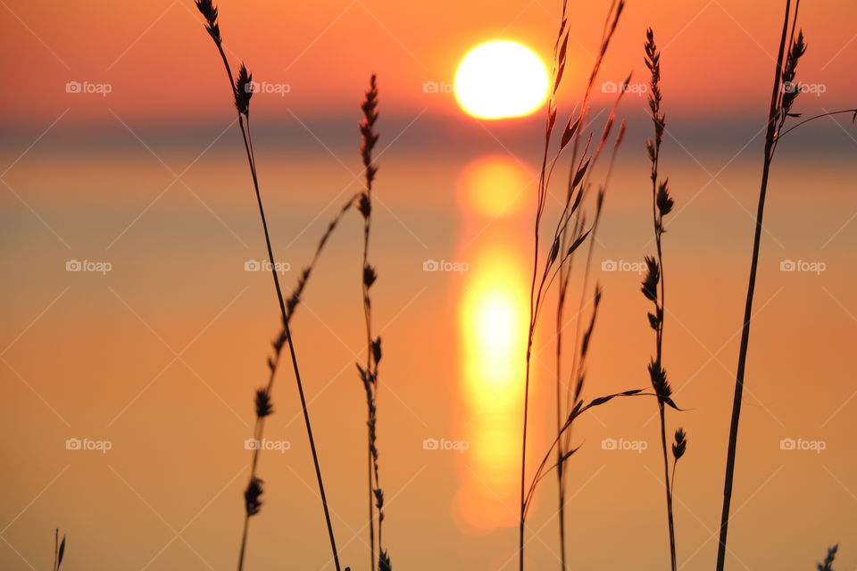 Setting sun reflecting into the ocean , macro shot 