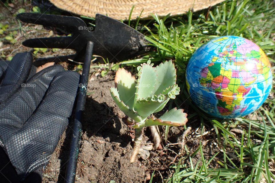 Plant on ground tools, gloves and straw hat on the side