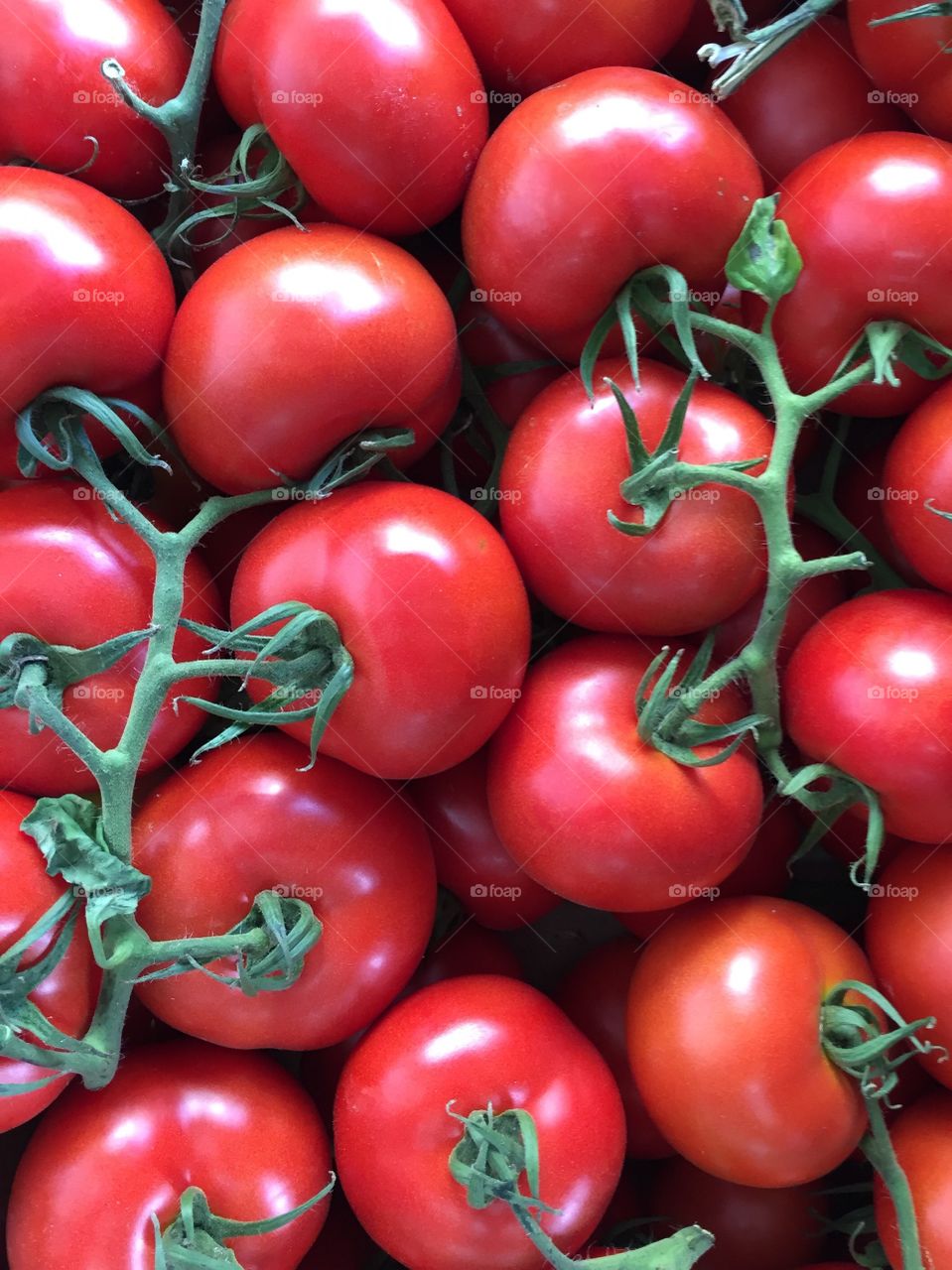 Red fresh tomatoes 