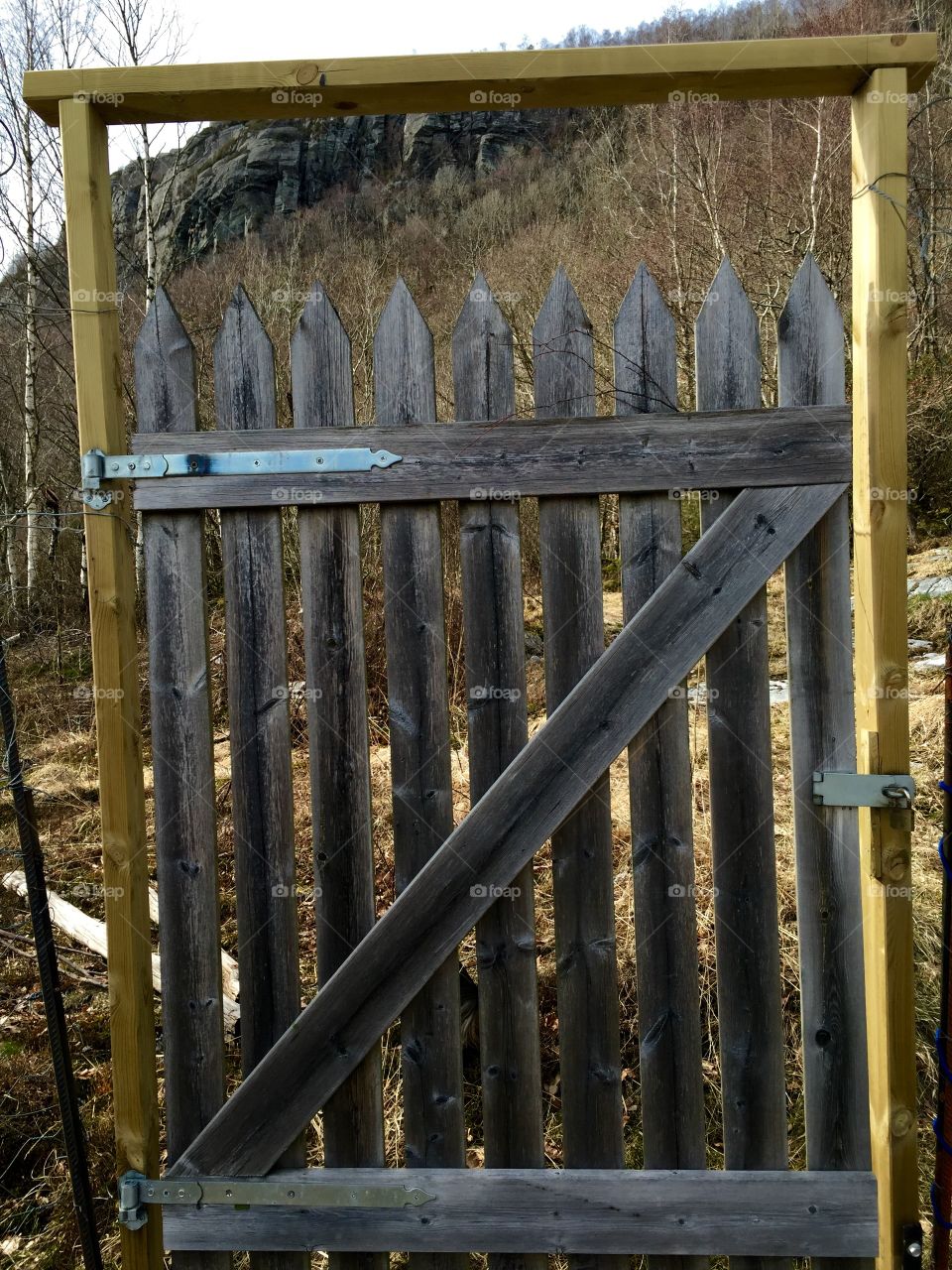 Wooden gate. Wooden door in a frame