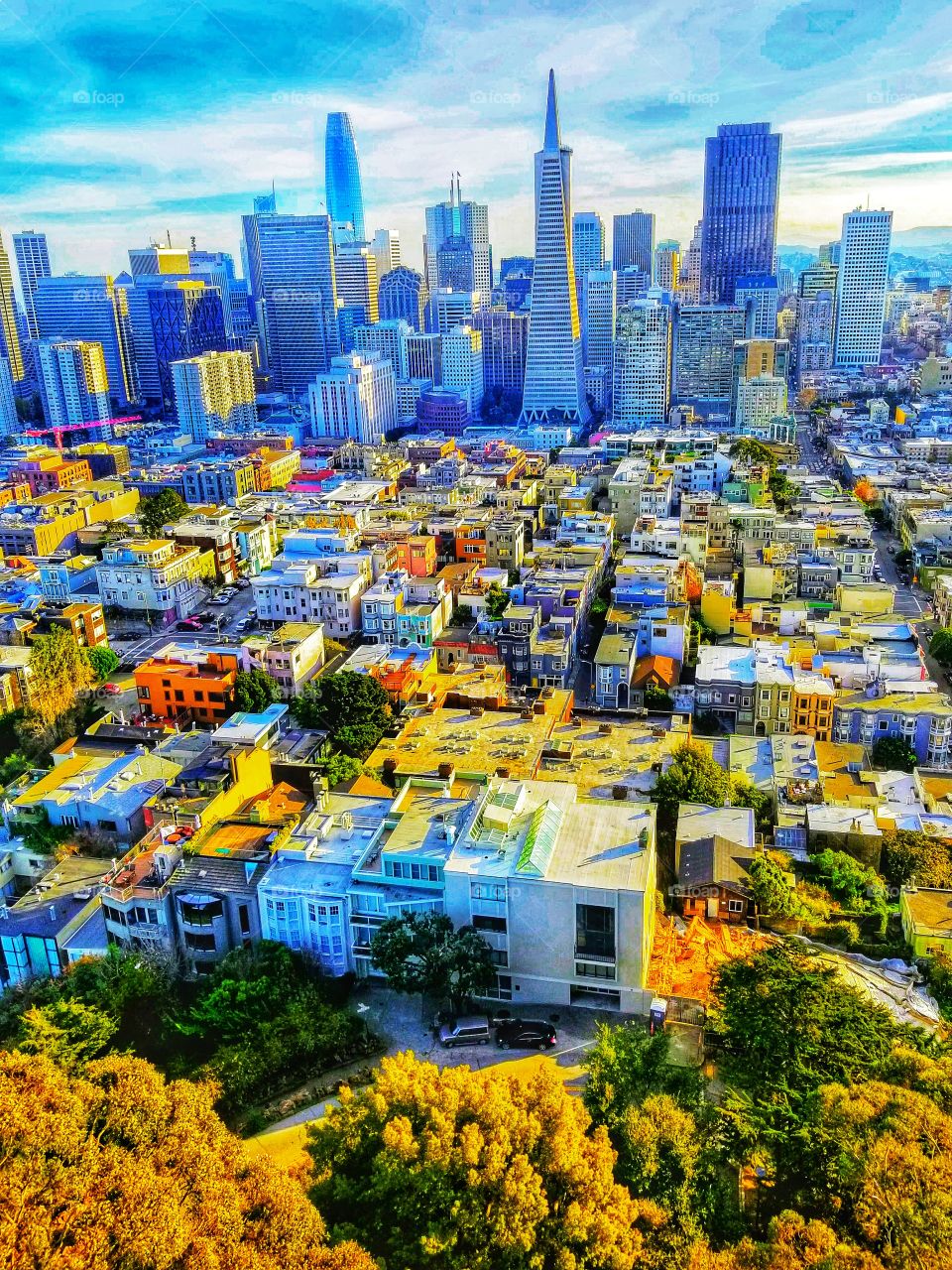 SAN FRANCISCO|california