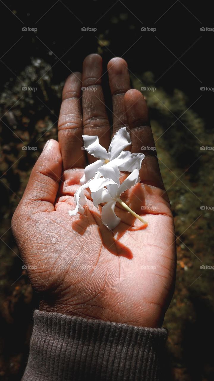 Pinewheel Flower in my Hand