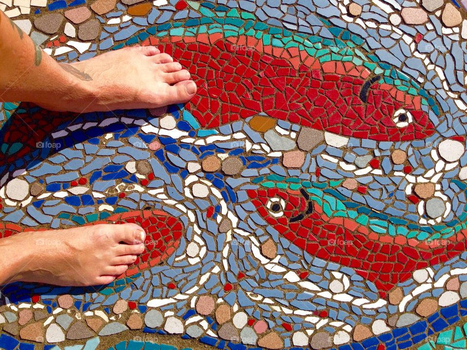 Standing on the backs of our fish friends