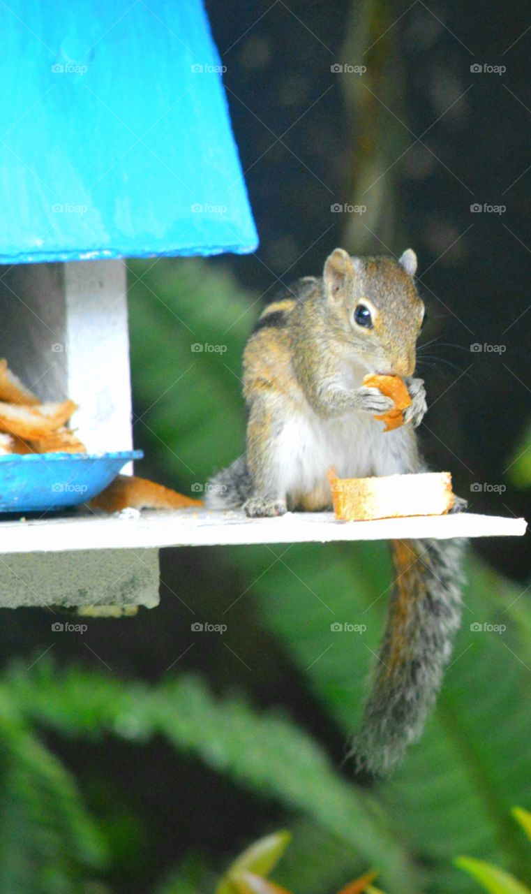 eating, eating, eating..........