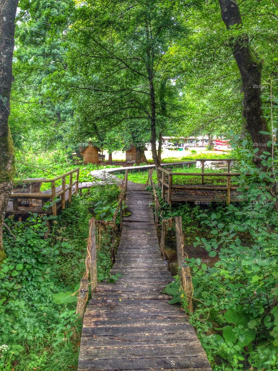 wooden bridge