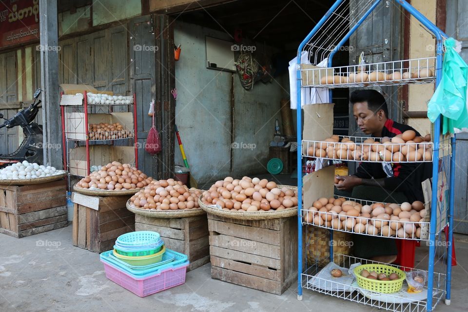 Egg Market
