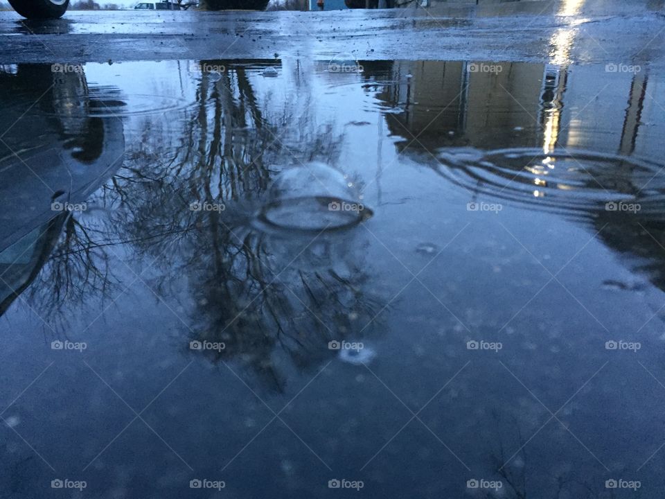 Floating in a puddle