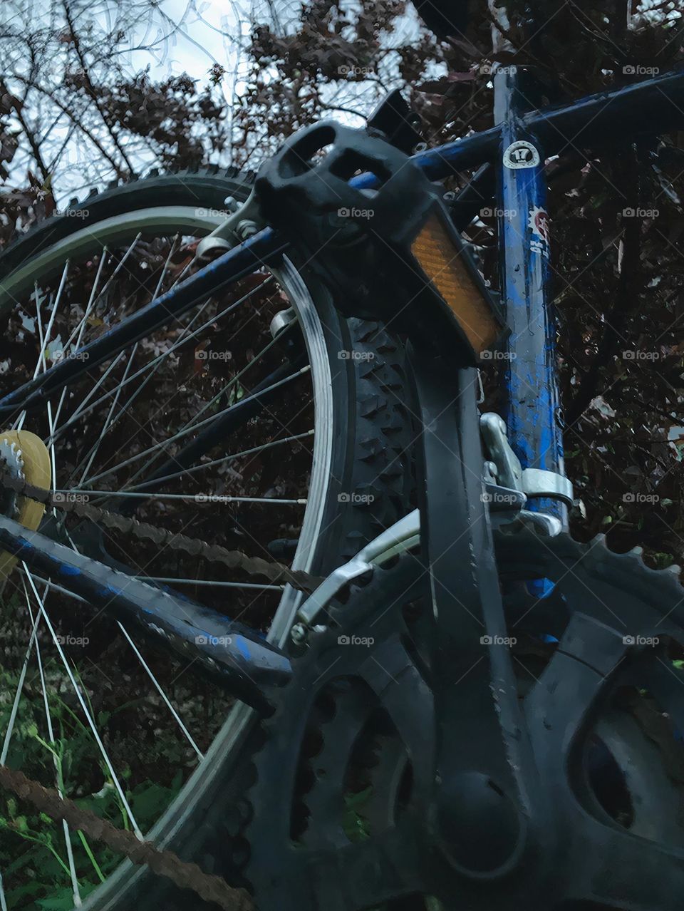 A Lonely Bicycle At Night Forgotten But Standing In The Midst Of Branches And Plants In The Grass.