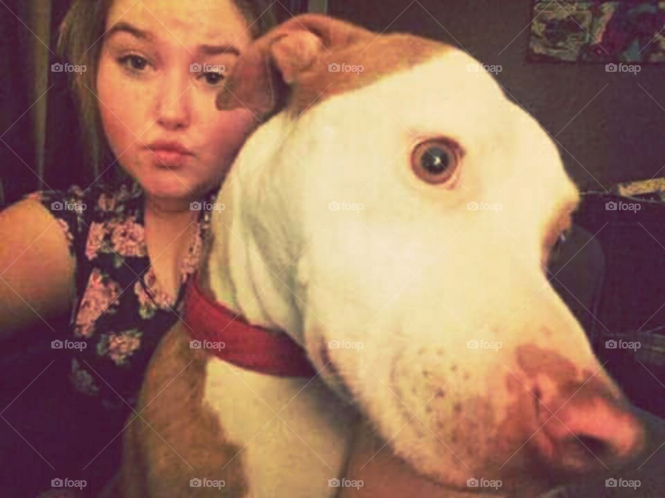 Just a sweet pitbull named Cameron.
