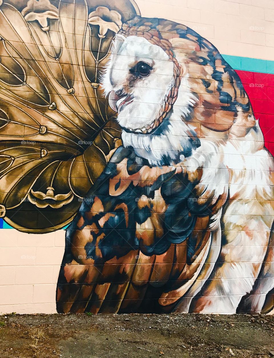 Owl mural 