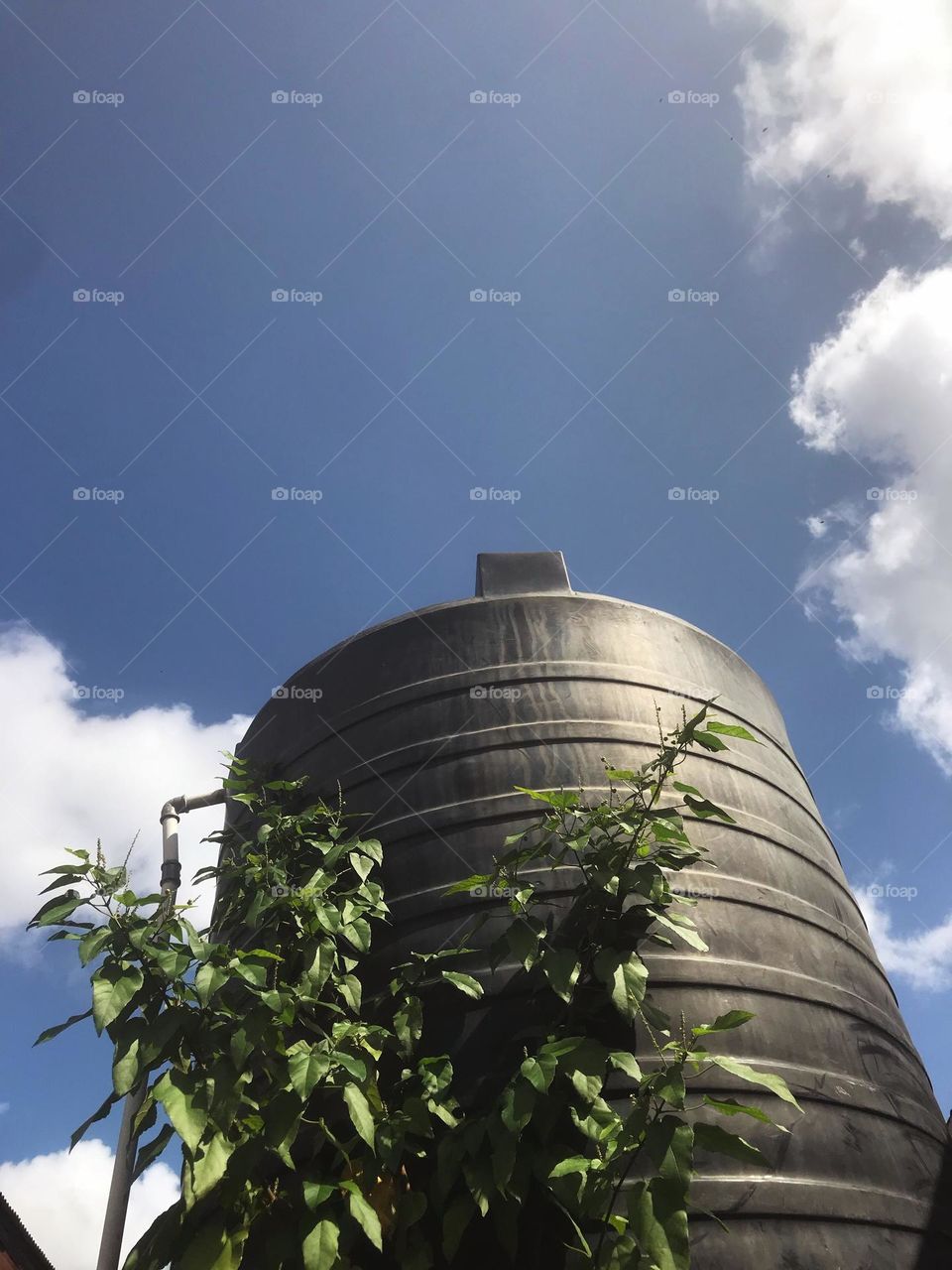 i want to sell this beautiful picture because it symbols the history of every compound in my neighborhood, no compound is without a water tank