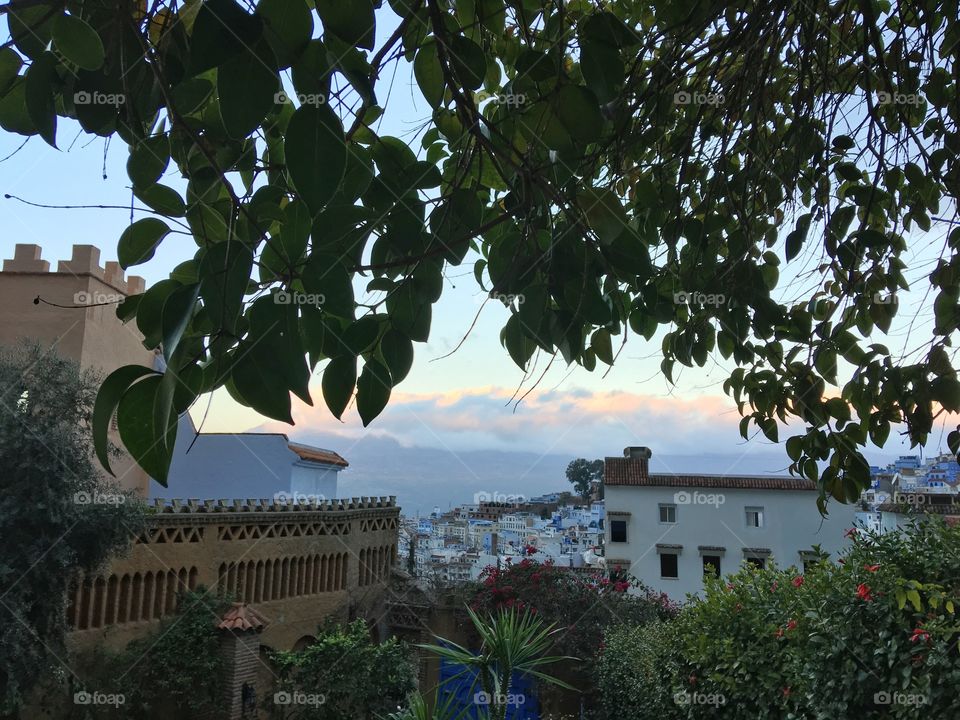 Tree, No Person, Architecture, Travel, Building