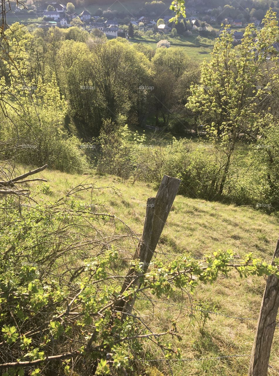 Countryside in springtime 