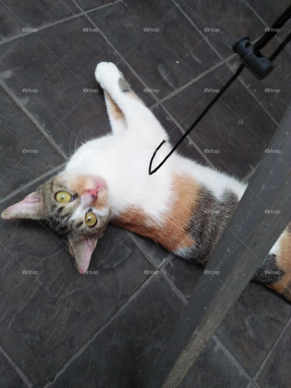 Tik

Time for playing