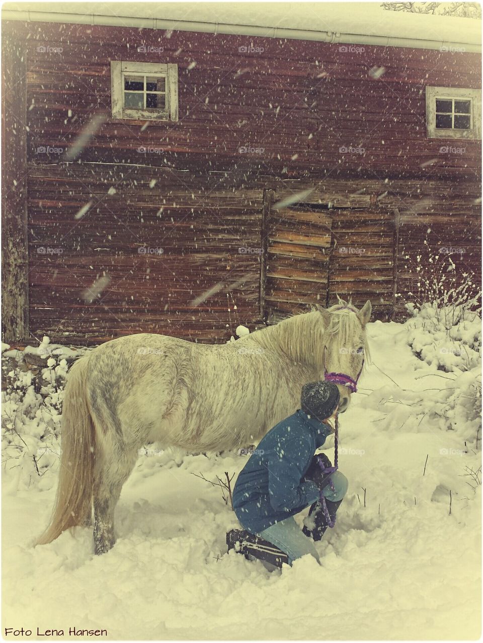 winter snow snöstorm ponny by LenaHansen