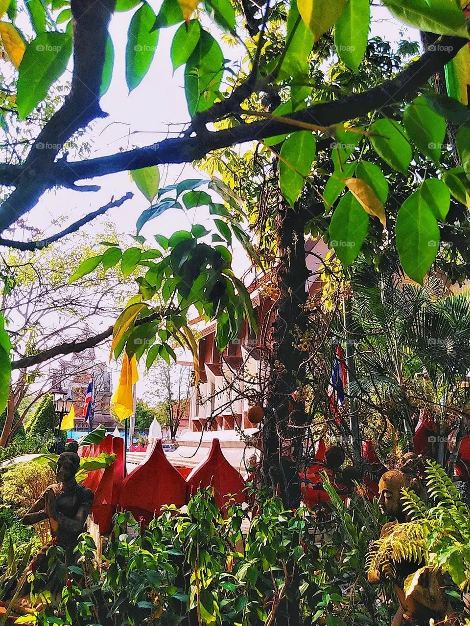 Atmosphere inside a Thai temple in other provinces.
