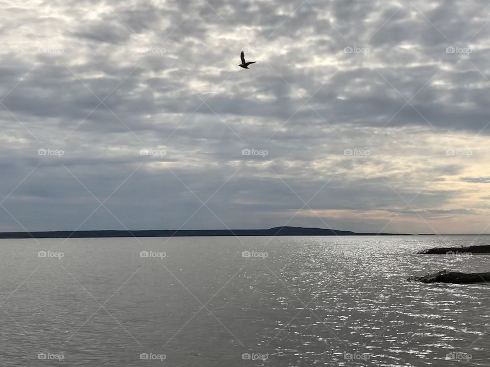 Beautiful lakeside with seagull and clouds