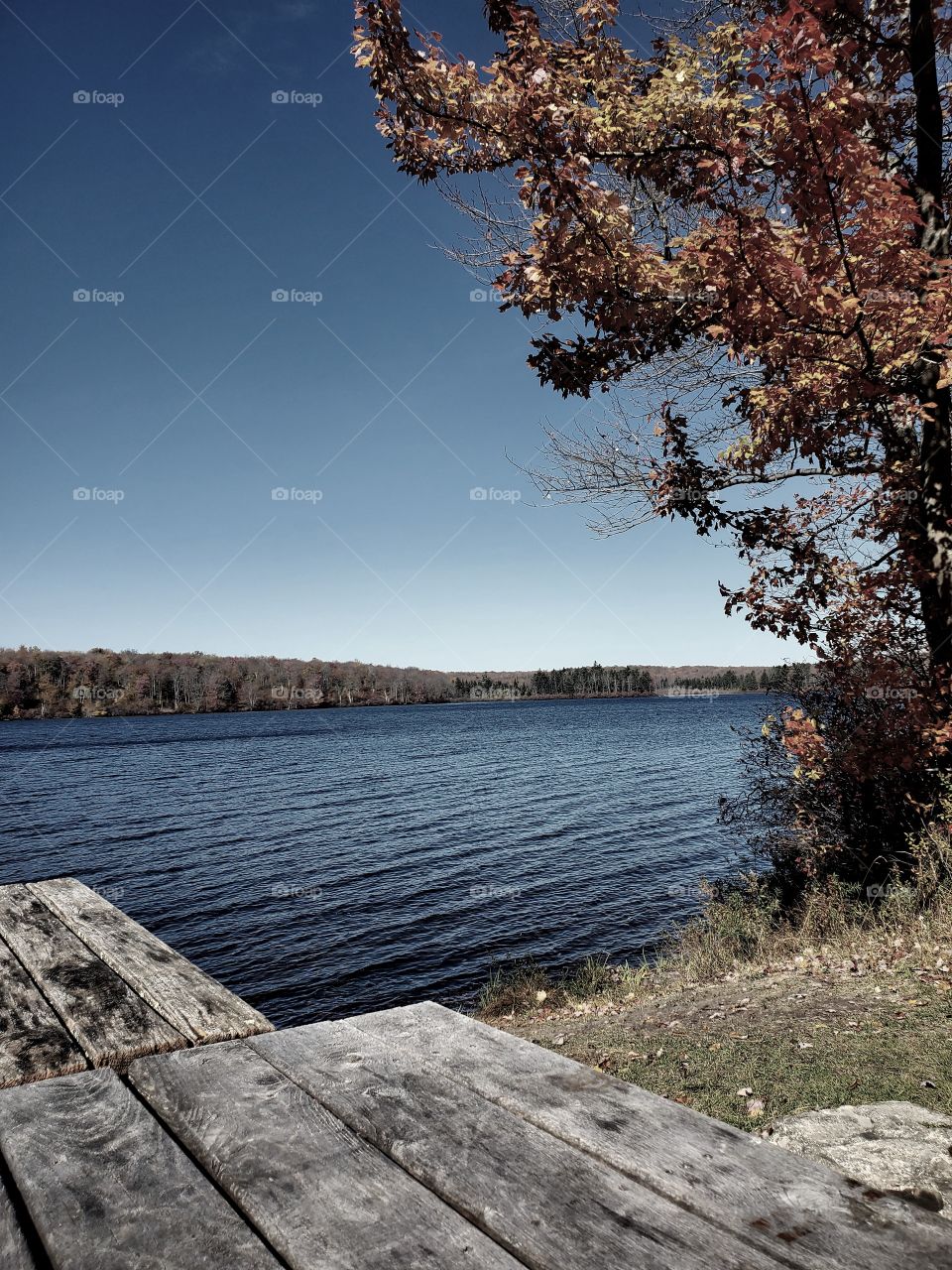 Autumn By The Lake