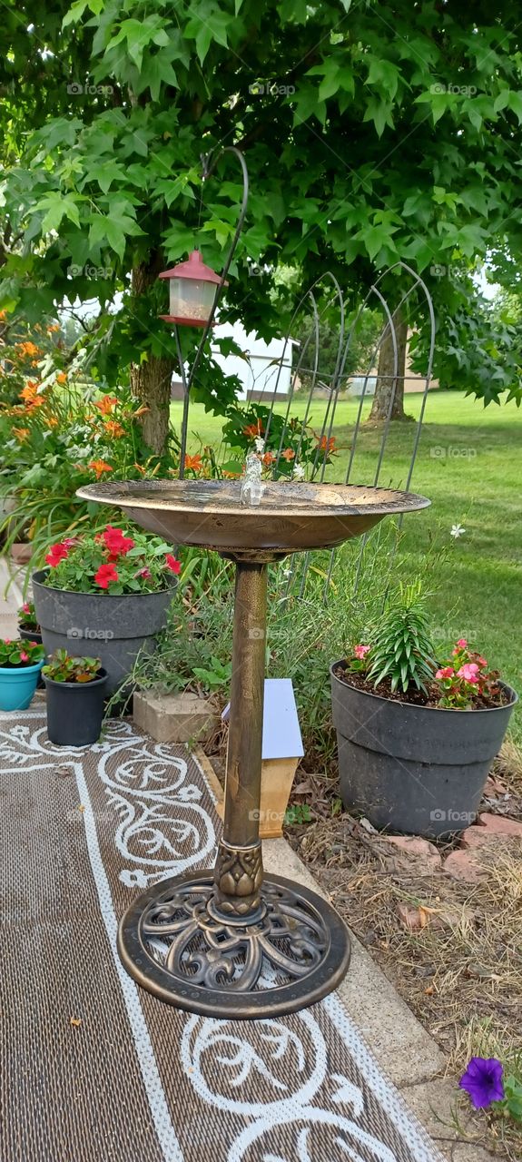 birdbath