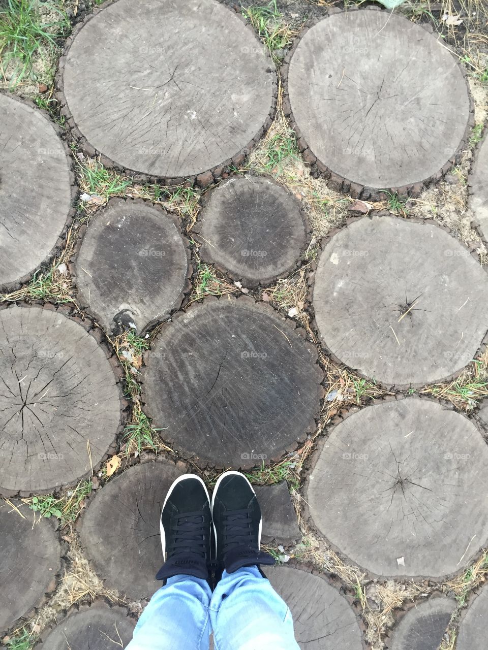 Standing on round wooden tablets leading to pond