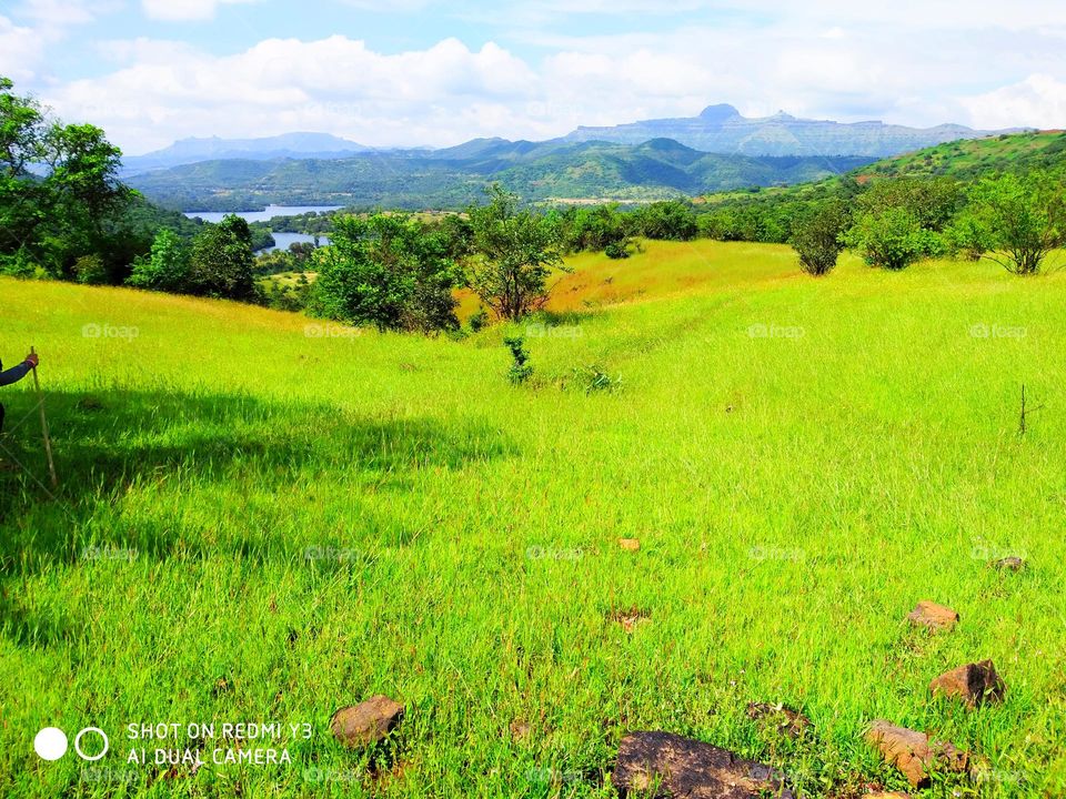 the beautiful Nature of Pune🌳🌨️