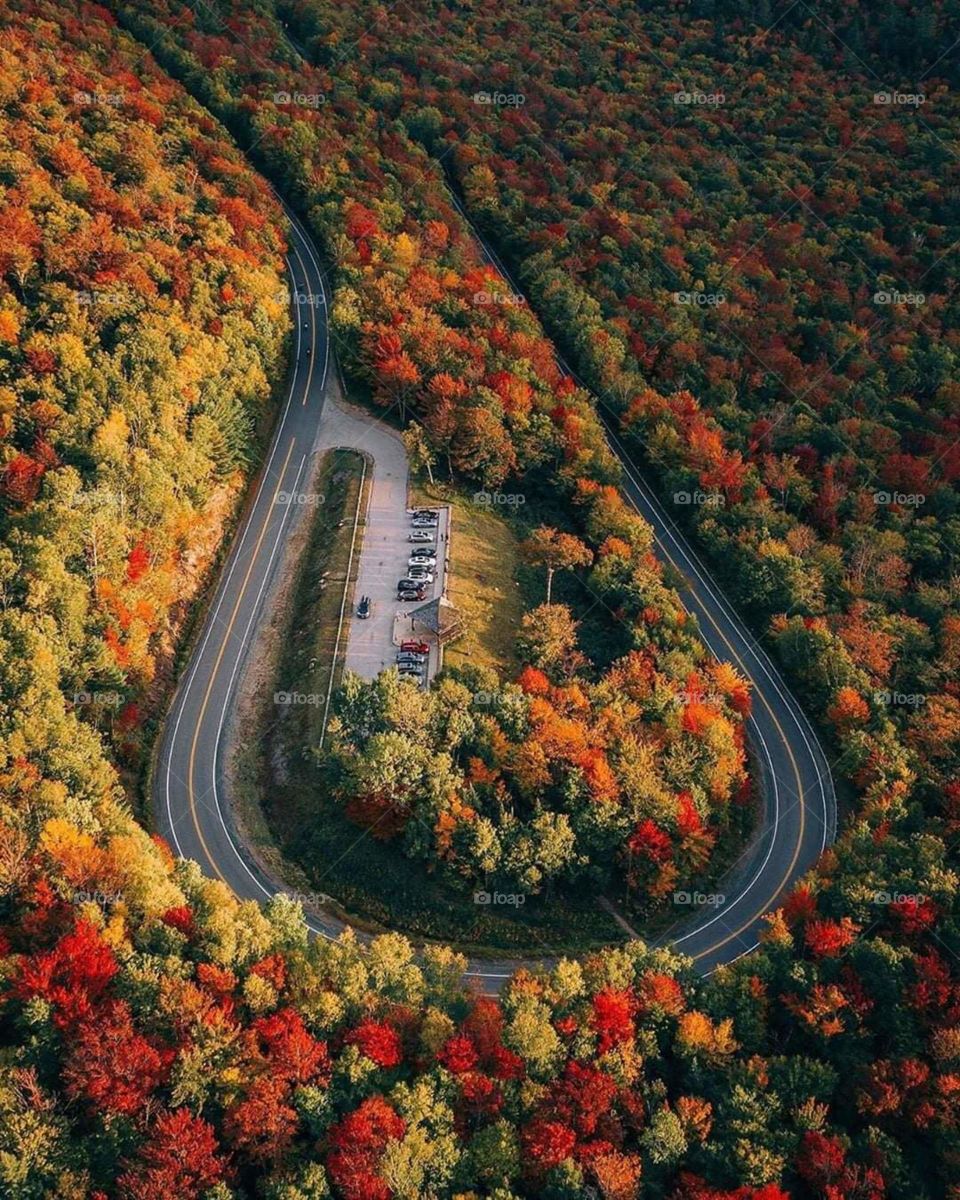 You turn with nature 