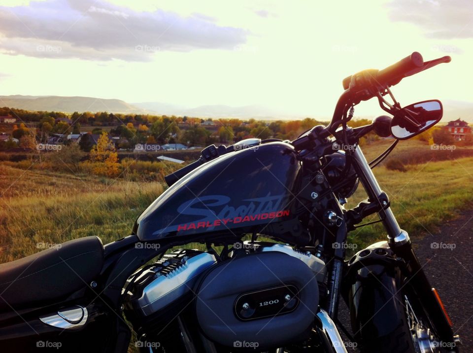 Country Harley. HD Sportster 48