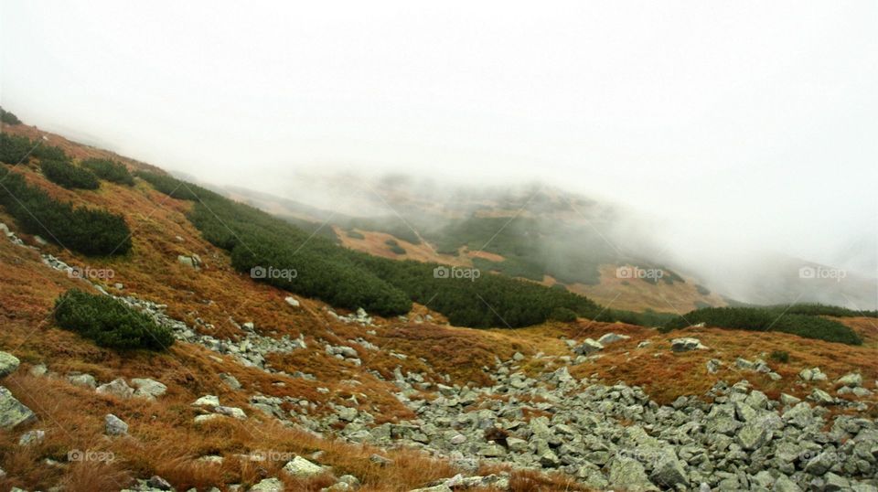 Magical misty landscape in the mountains in autumn