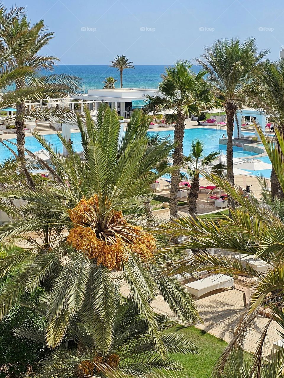 Radisson blu Djerba